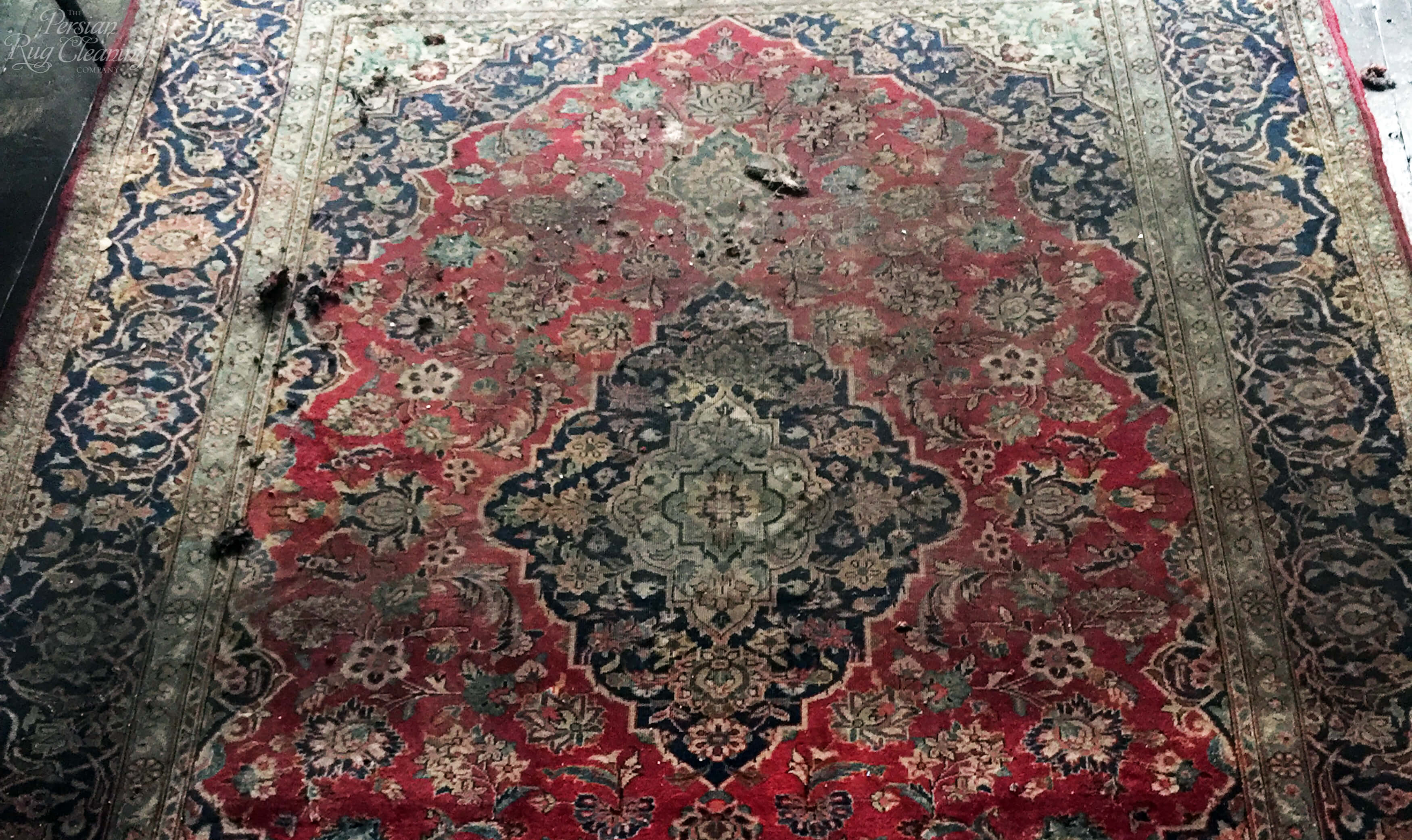 How often should I clean my Persian rug? - Filthy rug